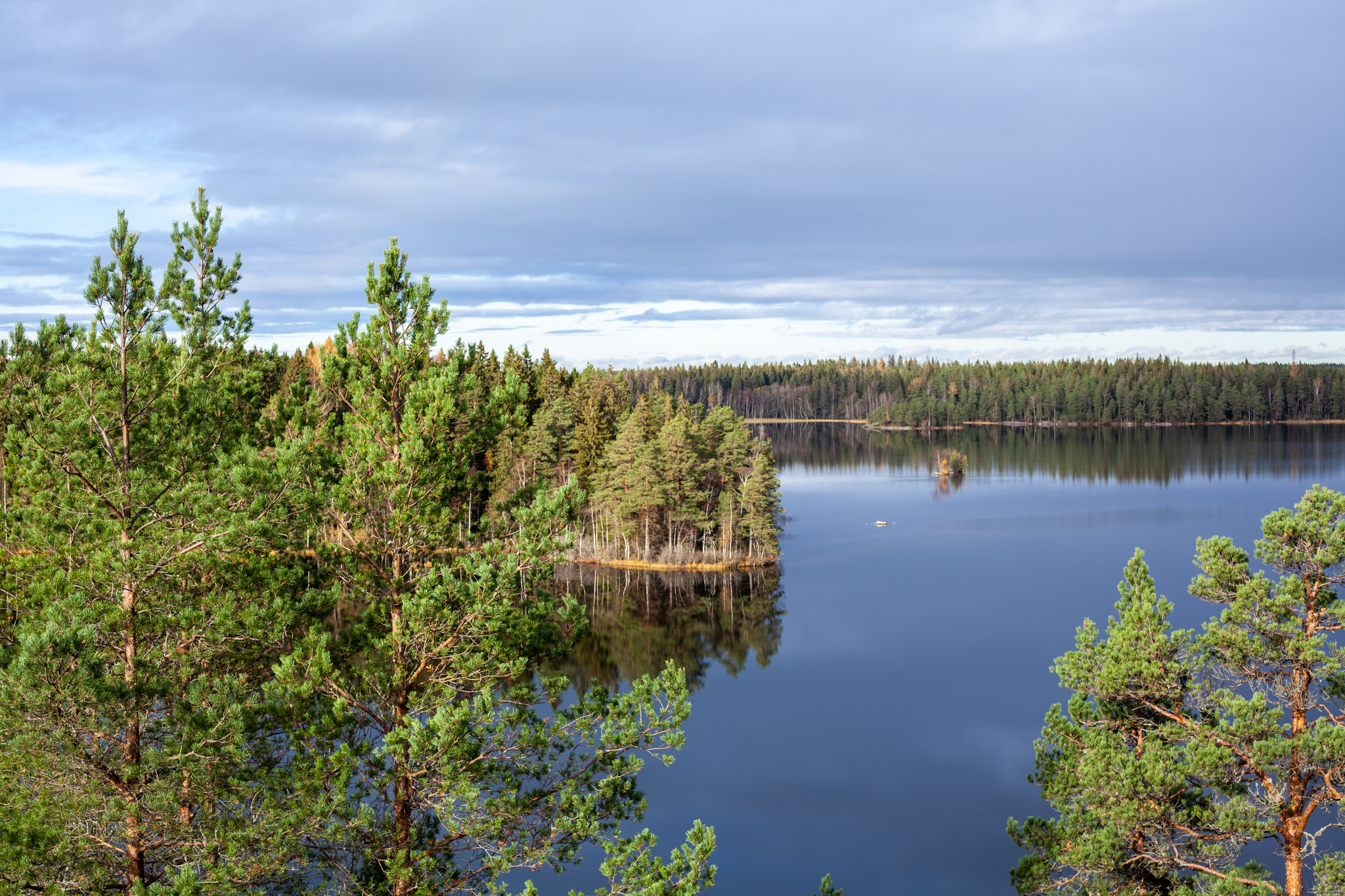 A picture of a Finnish lake landscape