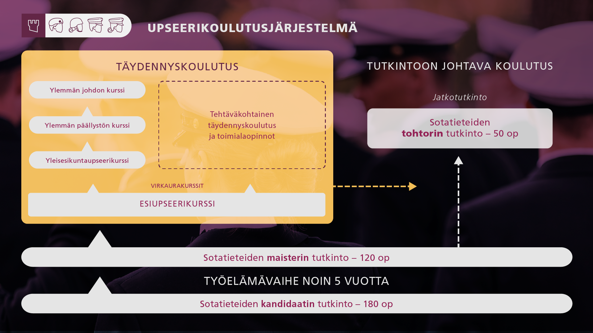 Upseerikoulutusjärjestelmän rakenne.